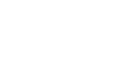 Official selection – dunedin international film festival 2019
